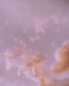 Meet your Posher, Dianna